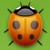 02 bug 02 bug